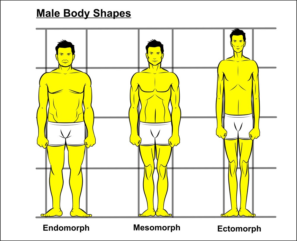 There are three major body types  — remember, reaching your goals is more about choices and behavior than genetics.  