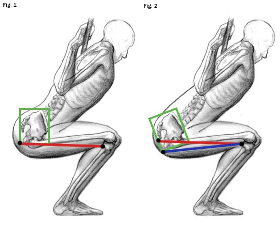 Squat Diagram