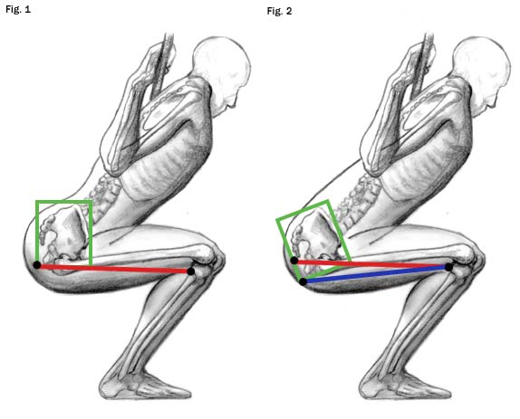 Squat Diagram