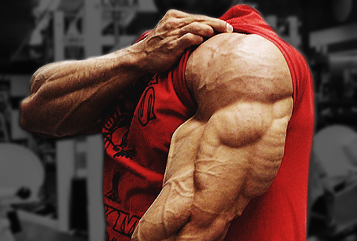 All About Hypertrophy