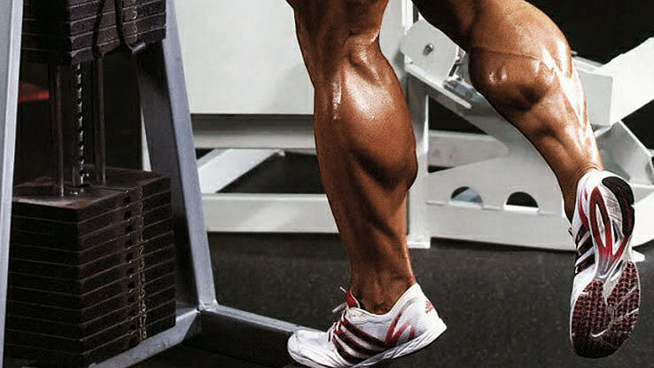 Hypertrophy Guide | Calves